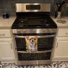 Chihuahua in Sunflowers Kitchen Towel Dish Cloths Guest Hand Towel Decorative Bathroom Towel for Face,Tea, Dishcloth, Kitchen and Bath